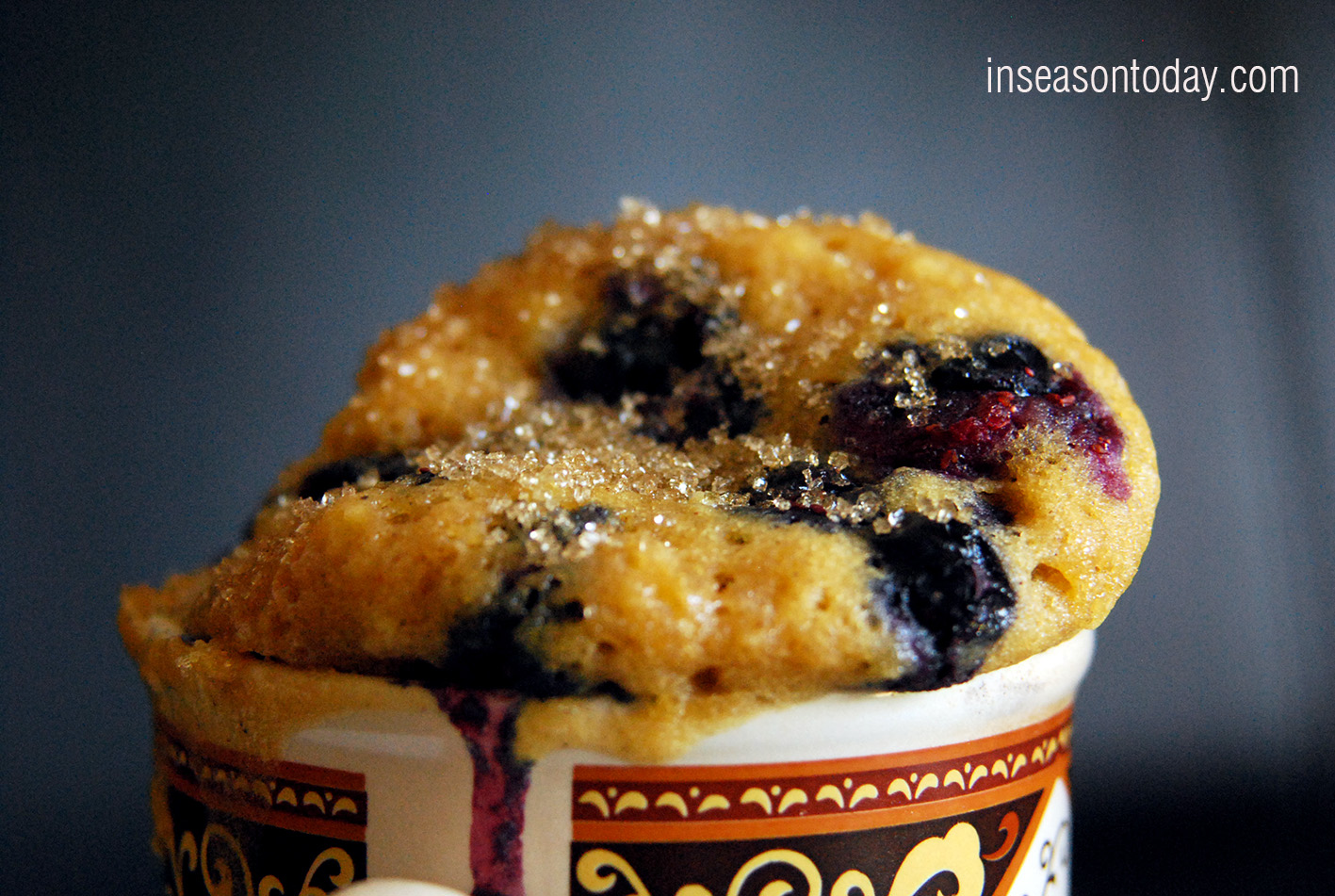 bluberry muffin mug 2
