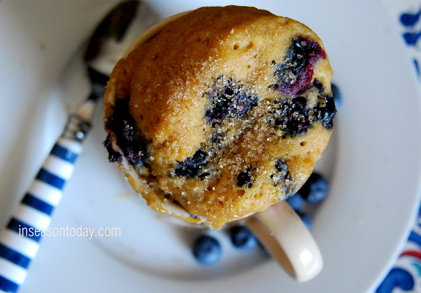 bluberry muffin mug 3