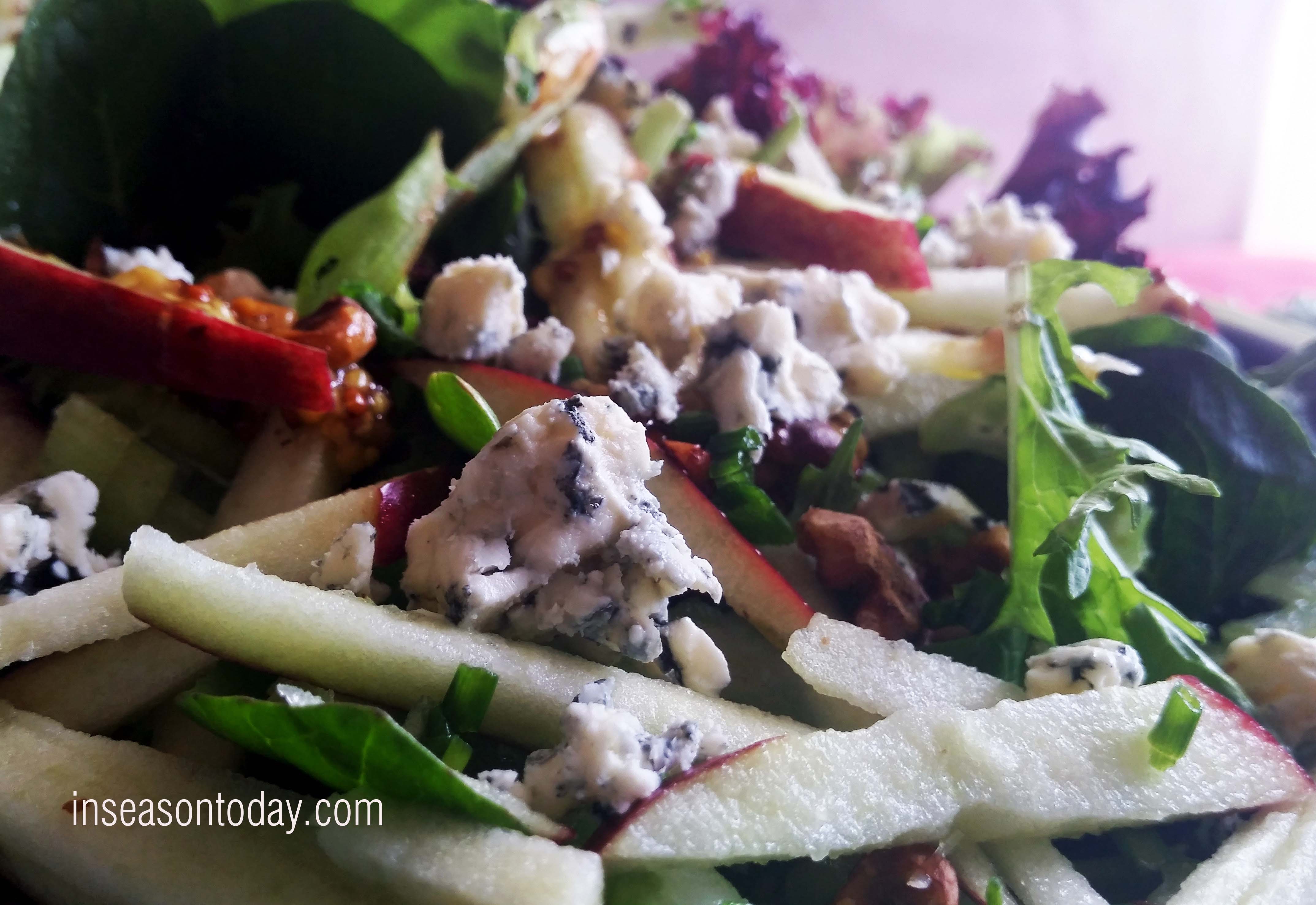 celery and blue cheese salad 1
